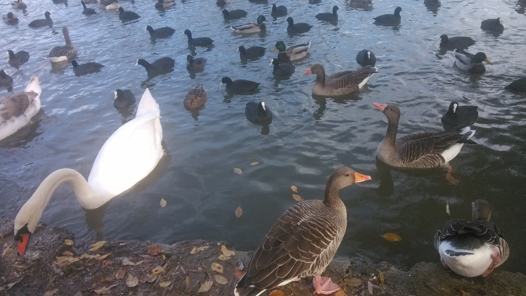 Life image 11