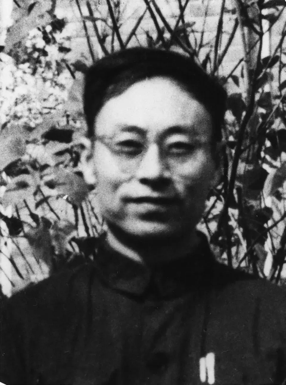 珍贵图片 5