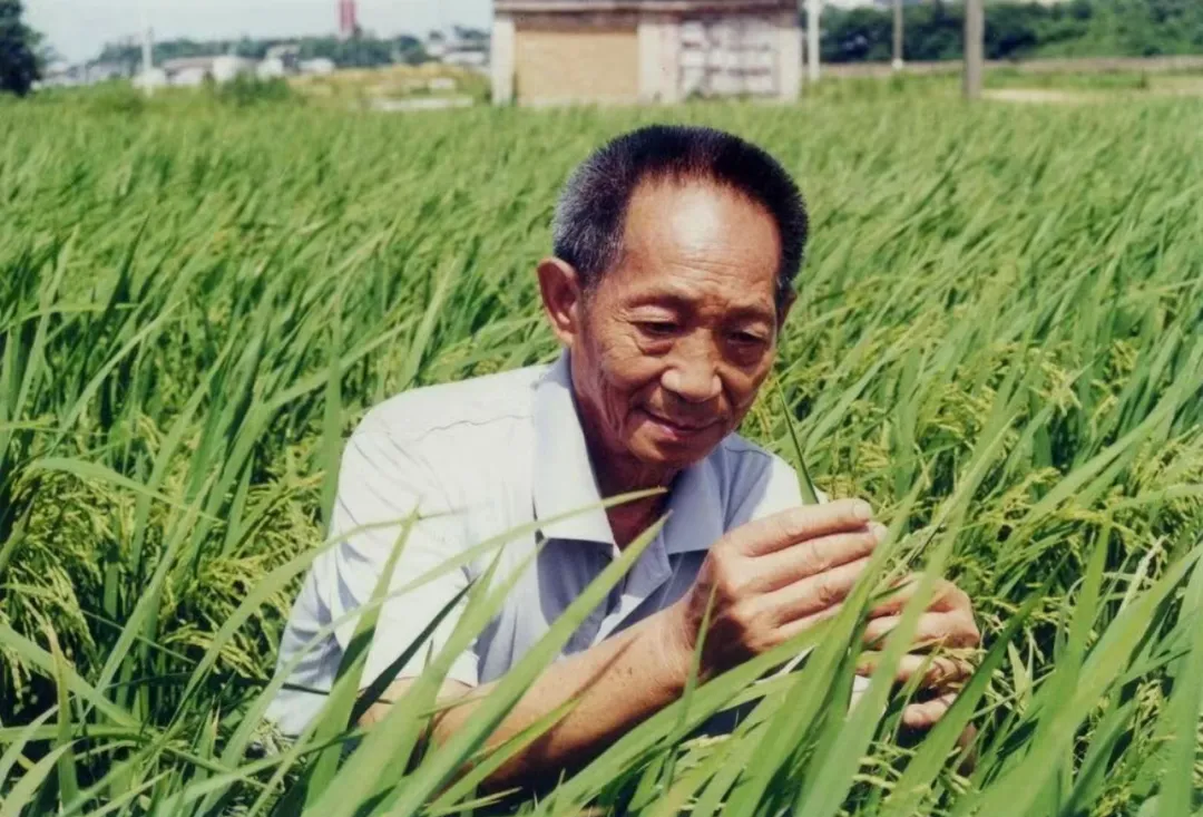珍贵图片 3
