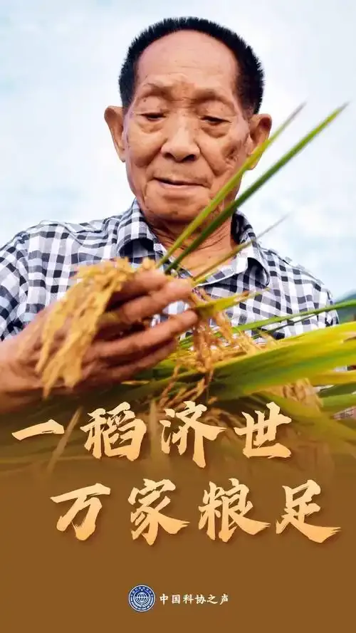 珍贵图片 4
