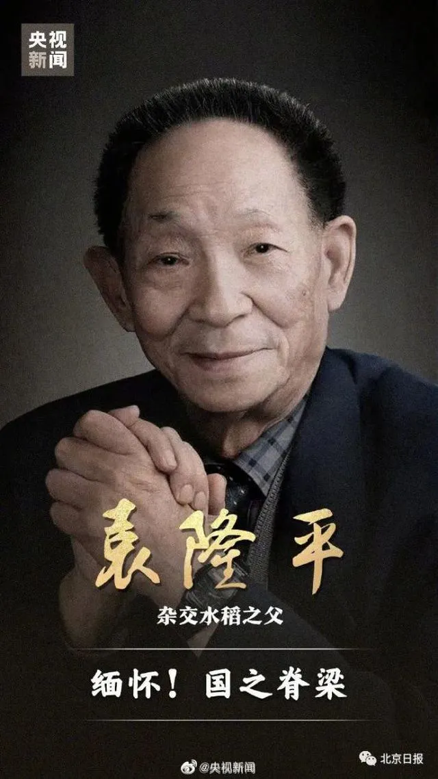 珍贵图片 6