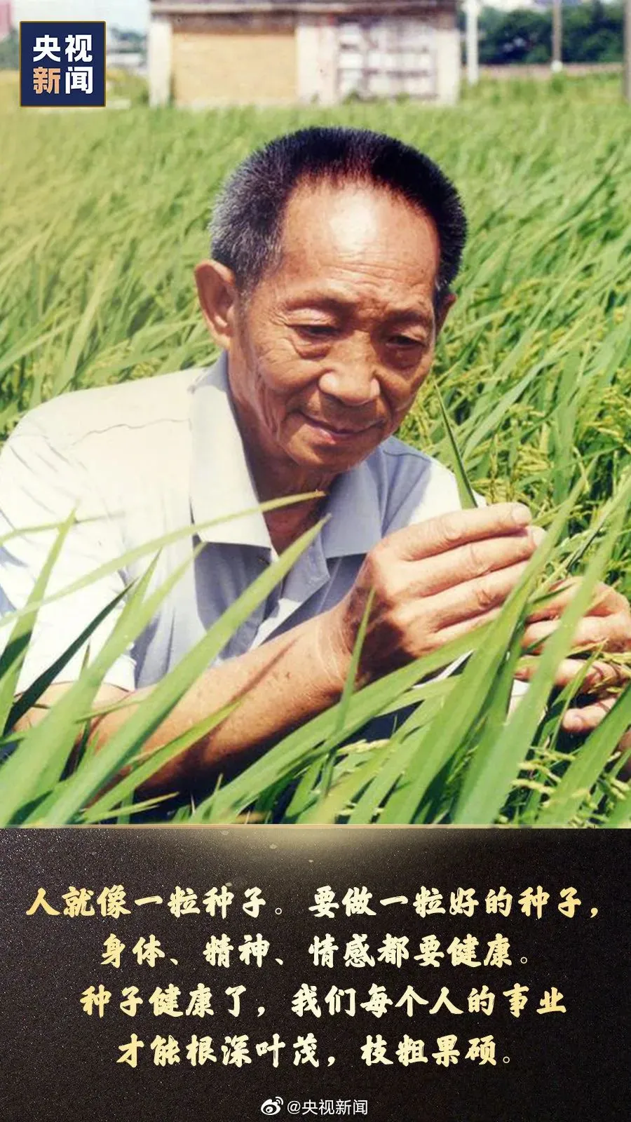 珍贵图片 8